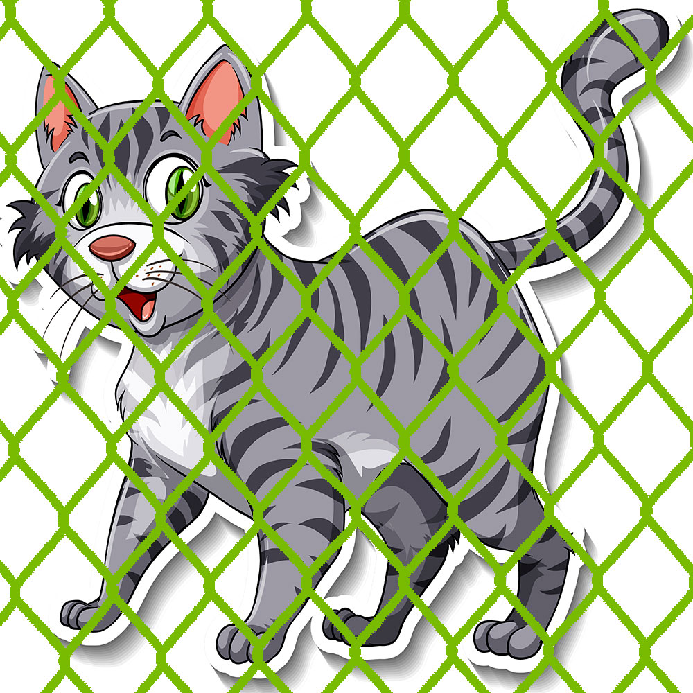 block-cat-total-protecao