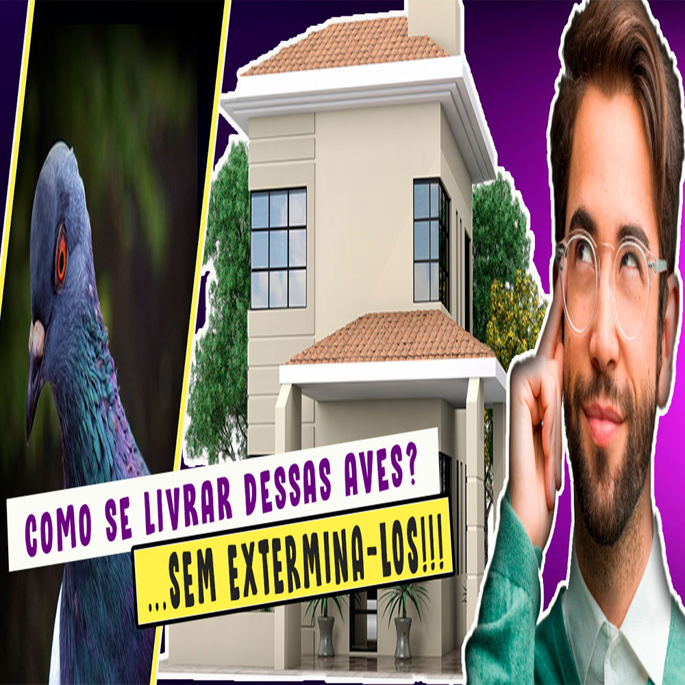 como-espantar-pombos-e-morcegos-do-telhado