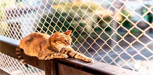 rede de proteção em moema rede-de-protecao-em-moema-sp