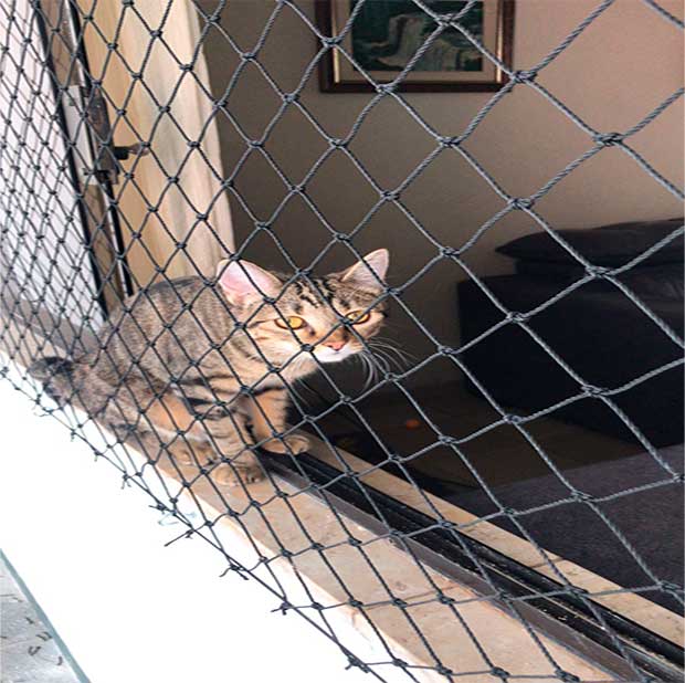 rede-de-protecao-no-morumbi-sp