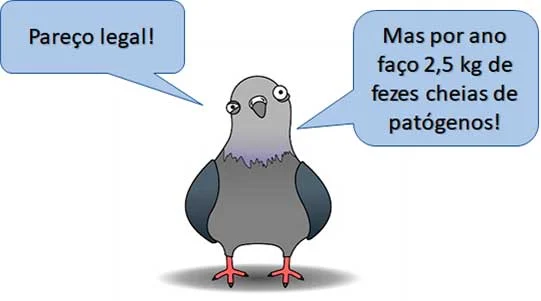 doencas-do-pombo