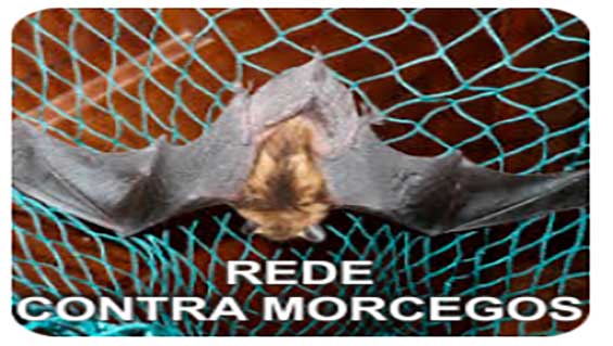 rede-de-protecao-contra-morcegos